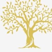 Mel&igrave; &ndash; Hochwertiges natives Oliven&ouml;l extra aus Italien